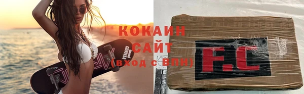индика Каменск-Шахтинский