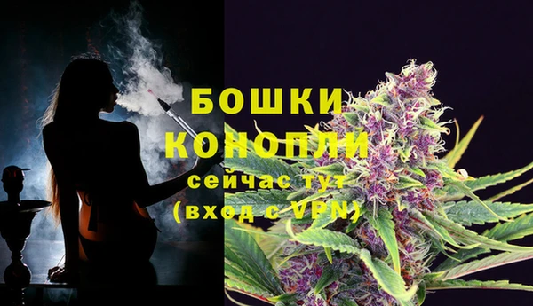 индика Каменск-Шахтинский