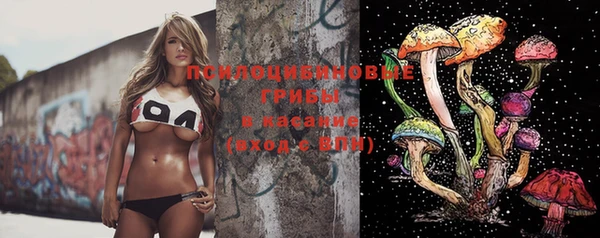 MESCALINE Каменка