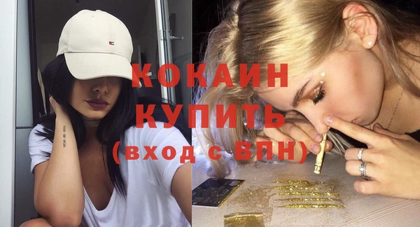 индика Каменск-Шахтинский