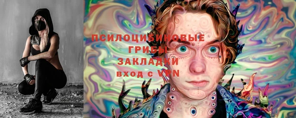 индика Каменск-Шахтинский